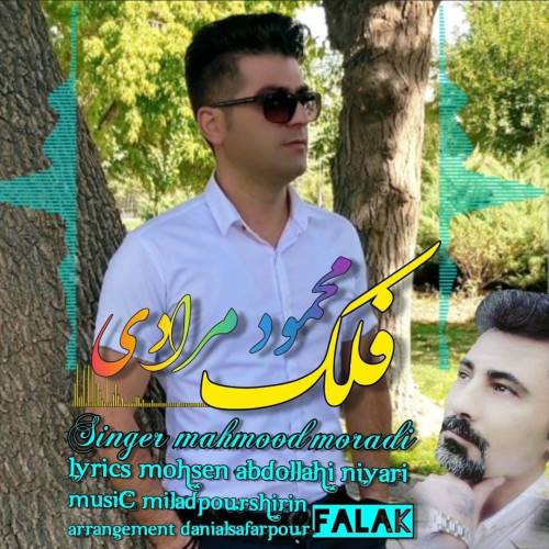 محمود مرادی فلک